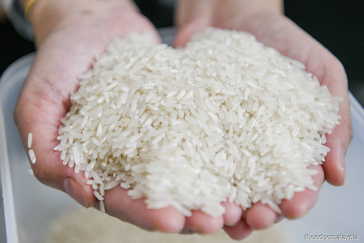 Govt targets rice selfsufficiency ratio of 75 by 2025, 80 by 2030